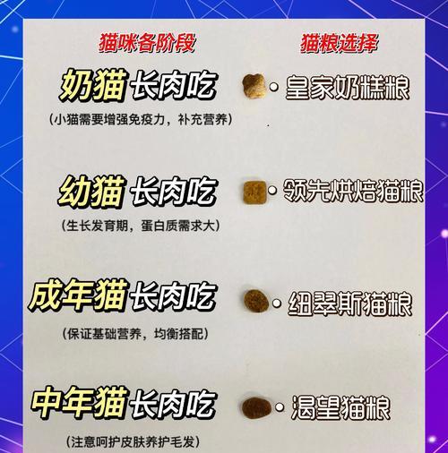 不买猫粮喂猫会怎么样吗？自制猫粮与商业猫粮的优缺点是什么？
