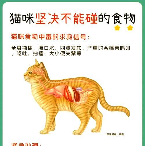 猫咪拒食猫粮的常见原因是什么？如何解决？
