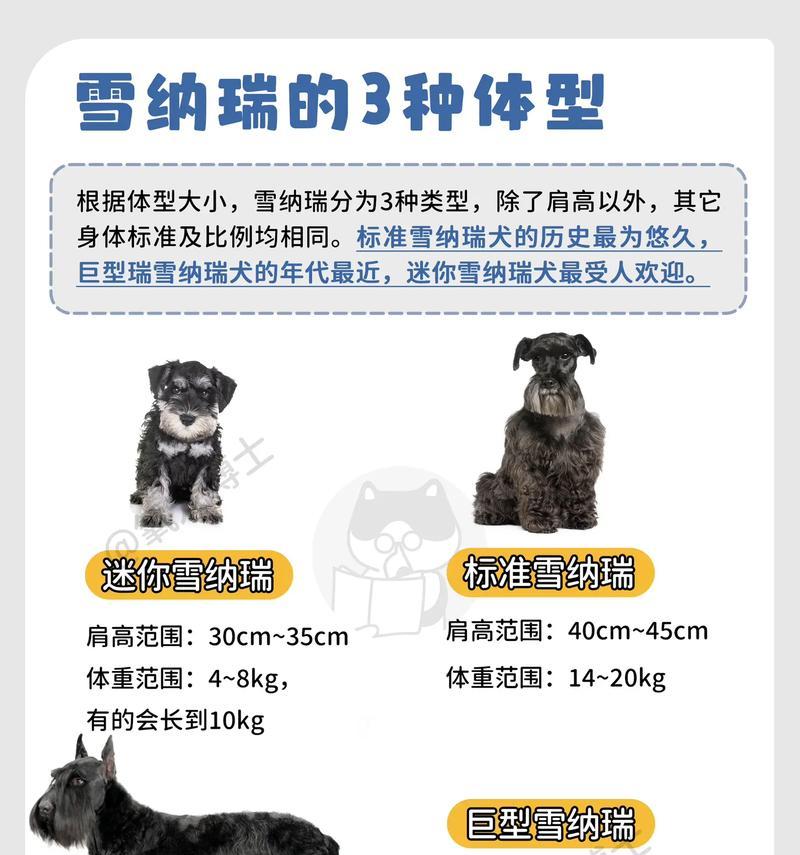 雪纳瑞犬的平均寿命是多少年？