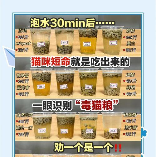 猫很远闻到猫粮味道怎么办？如何训练猫咪识别食物来源？