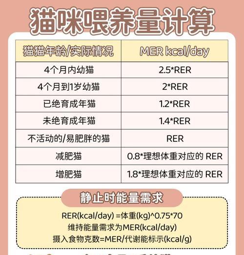 猫很远闻到猫粮味道怎么办？如何训练猫咪识别食物来源？
