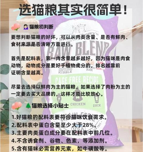 猫很远闻到猫粮味道怎么办？如何训练猫咪识别食物来源？