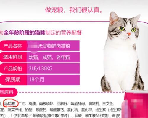 阿猫消化不良应该吃什么猫粮？如何选择？