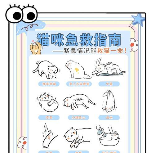 猫咪误食猫脚怎么办？如何预防此类事件？