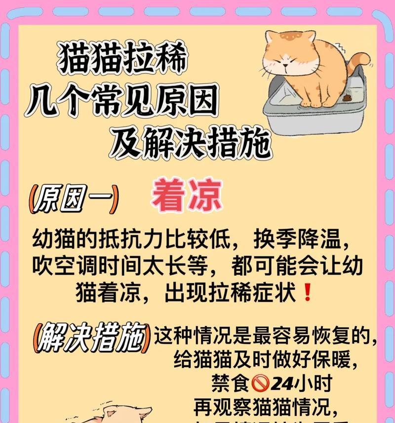 猫咪误食猫脚怎么办？如何预防此类事件？