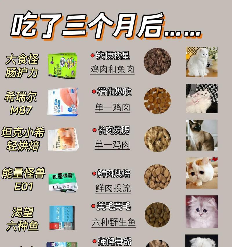 肥胖猫咪适合哪种猫粮？如何选择健康又营养的猫粮？