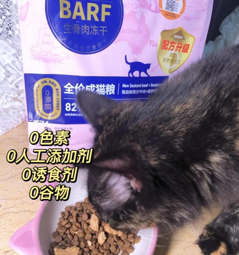 吐猫粮有泡沫还有猫毛怎么回事？如何解决？