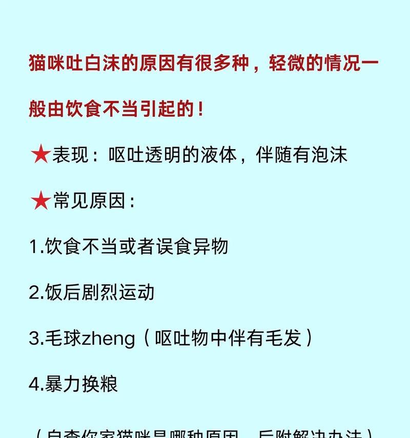 吐猫粮有泡沫还有猫毛怎么回事？如何解决？