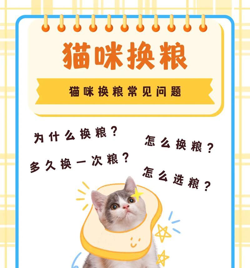 忘记喂猫粮猫咪会怎样？