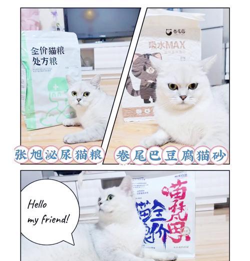 猫粮中添加沙子的目的是什么？