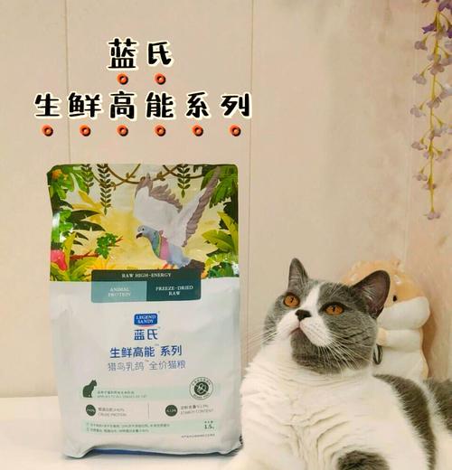 猫粮被鸟吃怎么办？有效防止方法有哪些？