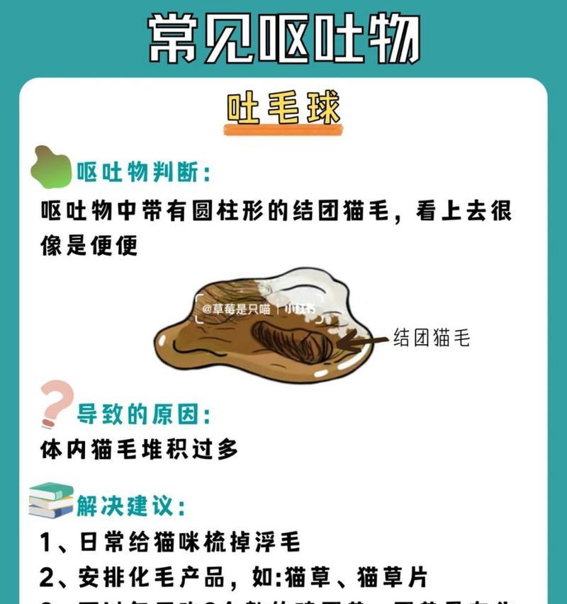 猫呕吐物是猫粮？这是什么情况？