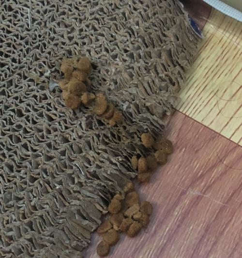 猫呕吐物是猫粮？这是什么情况？