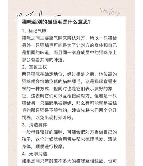 猫咪为何会舔食猫粮碗？这是什么行为习惯？