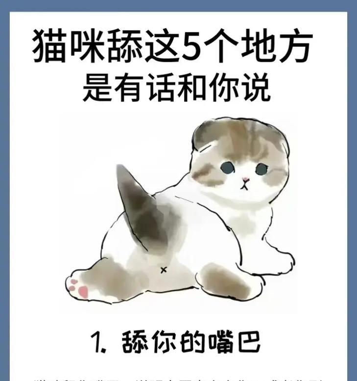 猫咪为何会舔食猫粮碗？这是什么行为习惯？