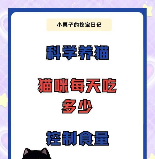 成年猫每月猫粮消耗量是多少？
