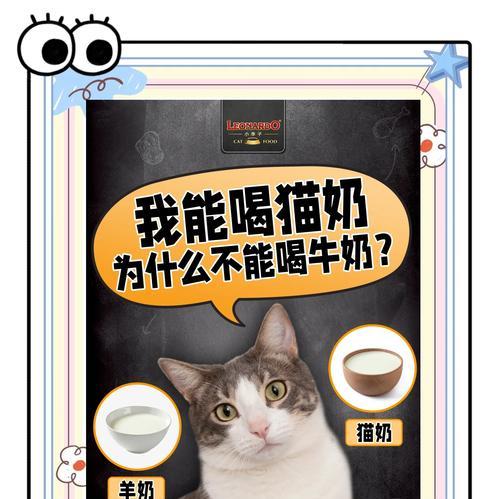 猫喝完奶还吃猫粮吗怎么办？如何平衡奶和猫粮的摄入？