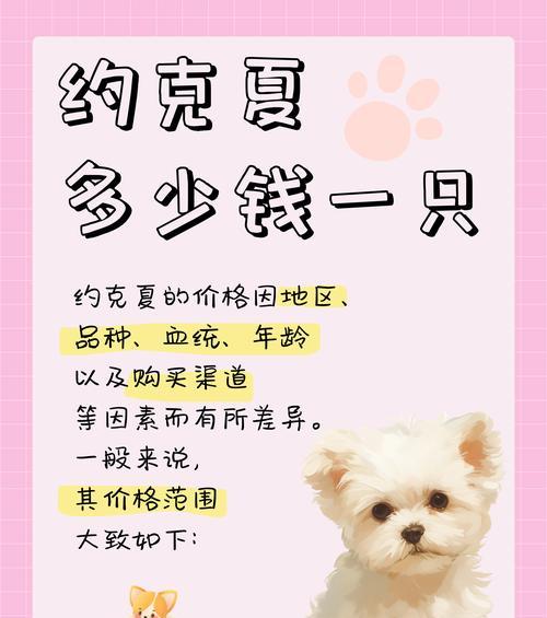 约克夏狗鲜粮喂养方法是什么？有哪些注意事项？