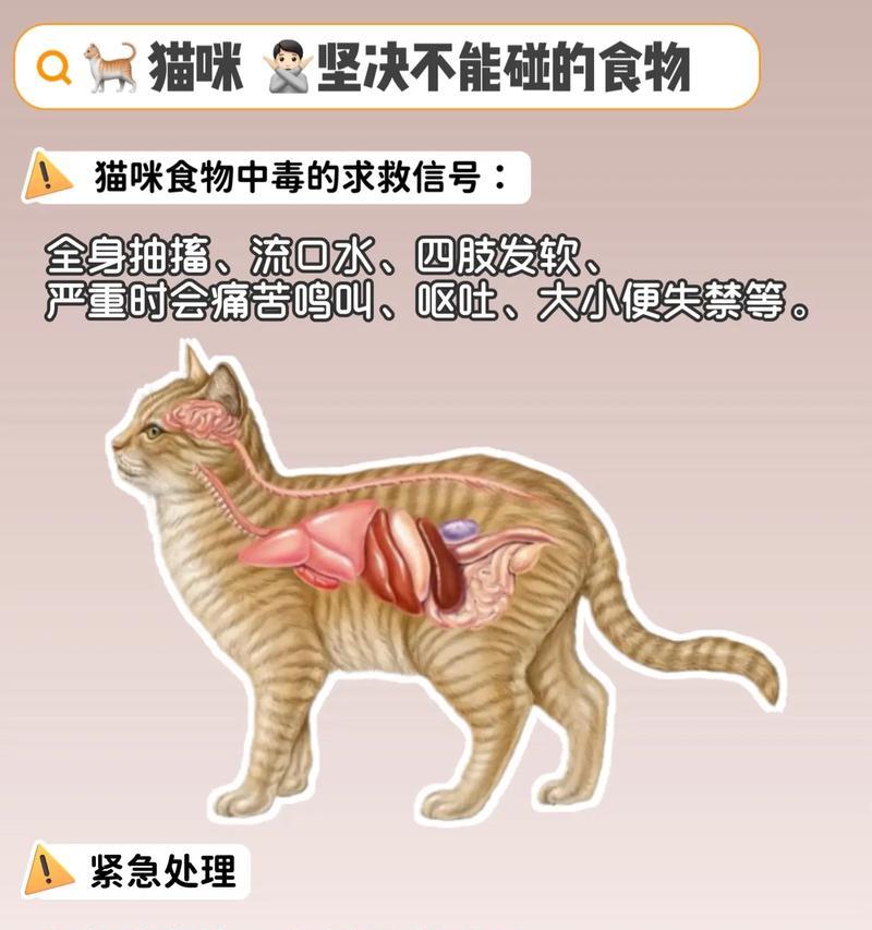 不给猫吃猫粮会有什么后果？