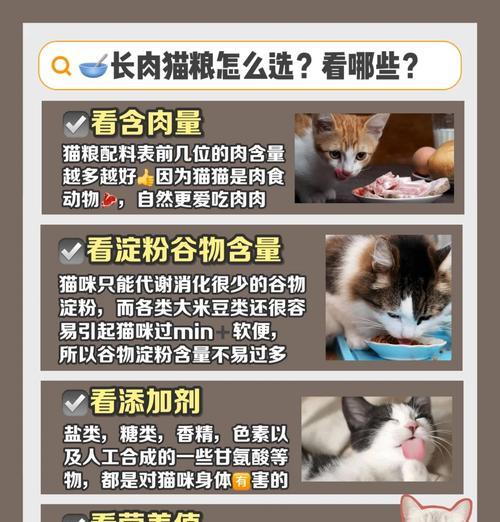 如何让小猫顺利过渡到吃猫粮？