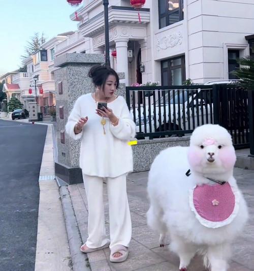 羊驼短外套搭配裙子的时尚建议是什么？
