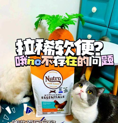 猫咪软便臭嘴臭怎么办？推荐哪种猫粮？