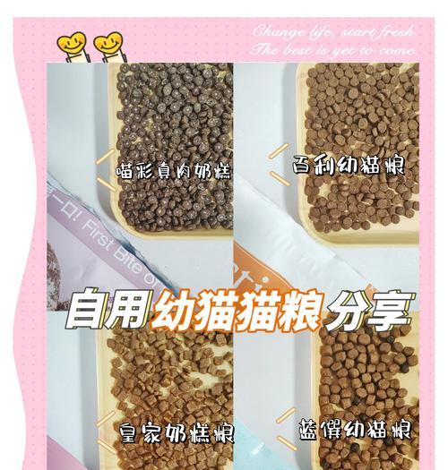 猫粮未到时，简单喂猫咪什么好？