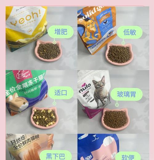 术后小猫应该吃什么猫粮？营养需求有哪些？