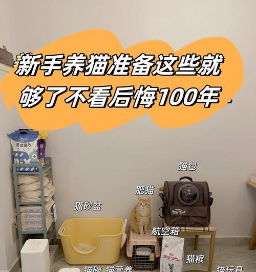 猫粮碗清洗剂怎么用？正确的清洗步骤是什么？