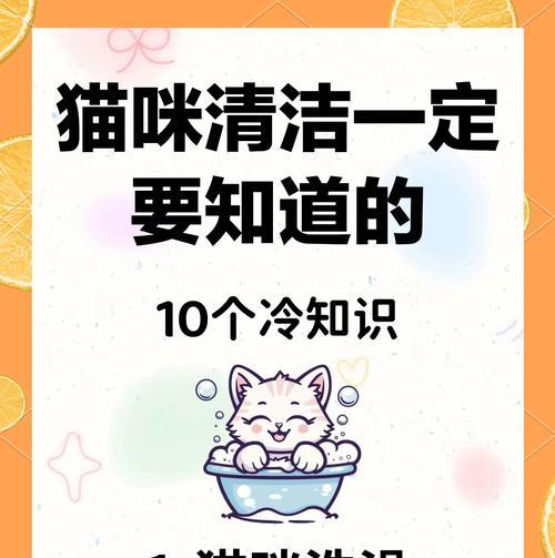 猫粮碗清洗剂怎么用？正确的清洗步骤是什么？