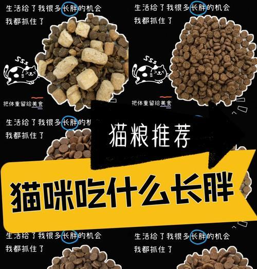 如何挑选能帮助猫咪增肥的猫粮？