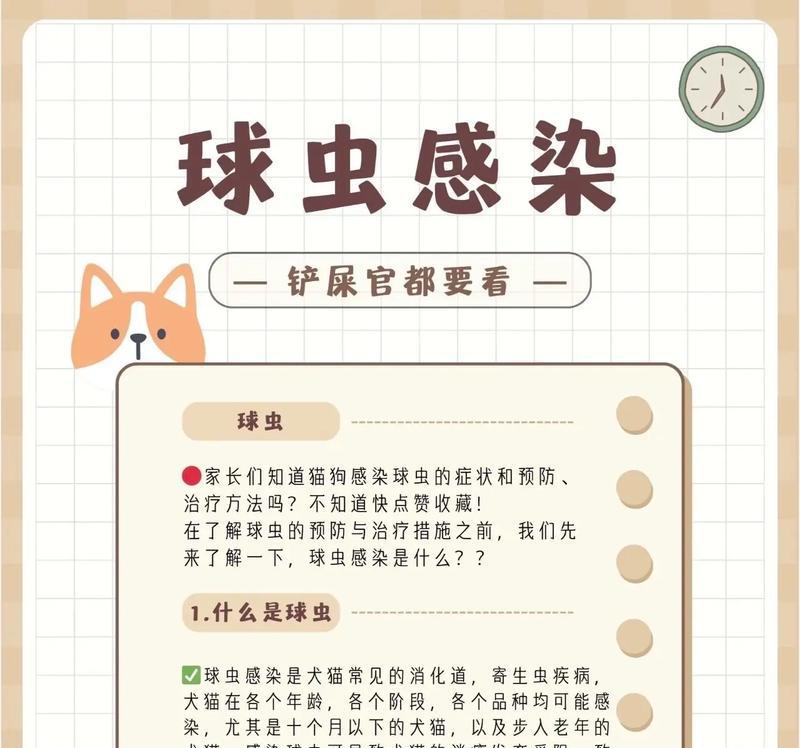哪些虫子会吃猫粮？这些虫子对猫咪健康有何影响？