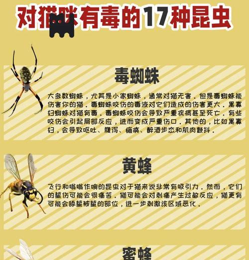 哪些虫子会吃猫粮？这些虫子对猫咪健康有何影响？