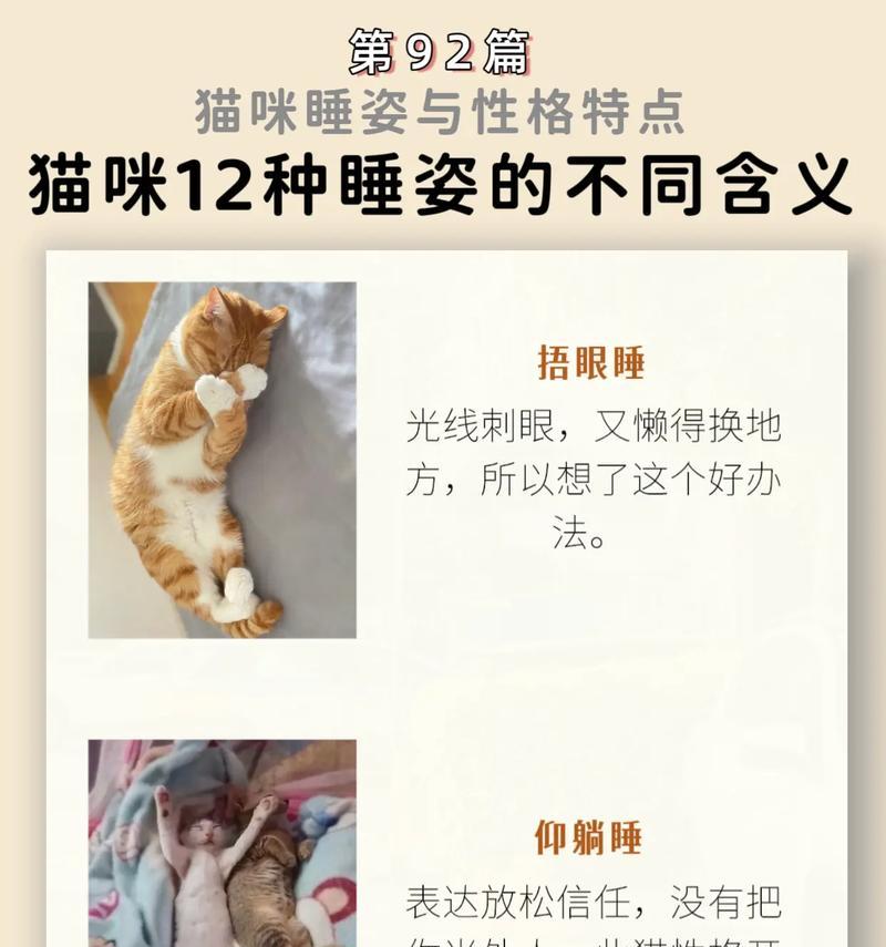 猫咪吃猫粮后嗜睡可能的原因是什么？