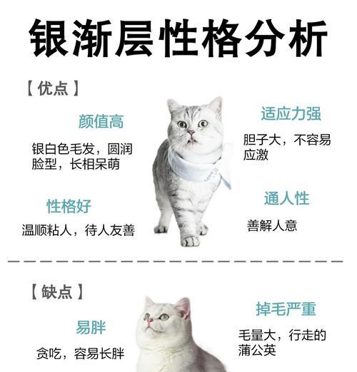 长期喂食猫粮与生骨肉的猫会有哪些不同？各自的利弊是什么？