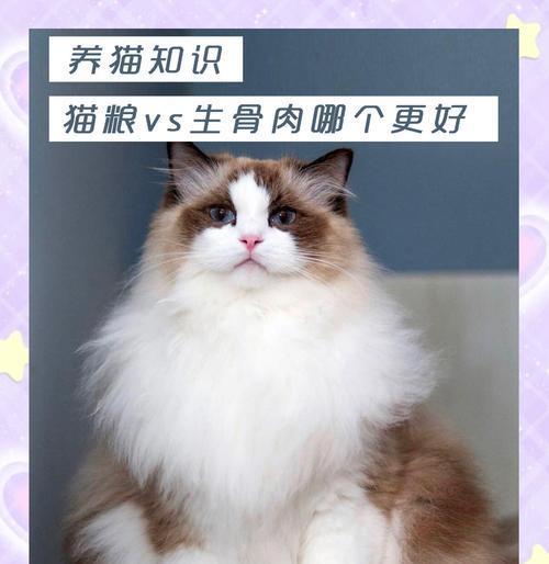 长期喂食猫粮与生骨肉的猫会有哪些不同？各自的利弊是什么？