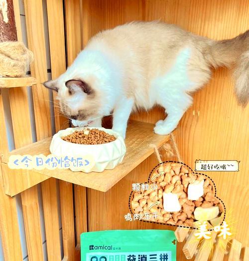 咬碎猫粮怎么办？如何防止猫咪咬碎猫粮？