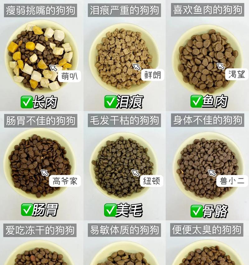 哪种狗粮能减少狗狗体味？