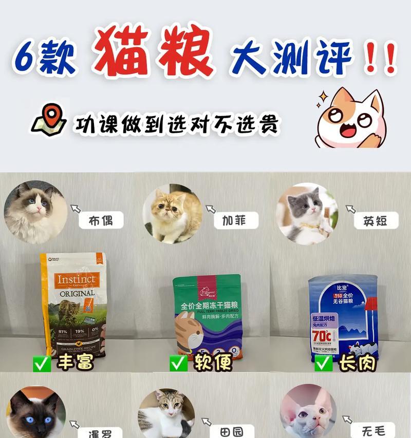 猫吃了猫粮眼屎少了怎么办？猫粮对猫咪健康有何影响？