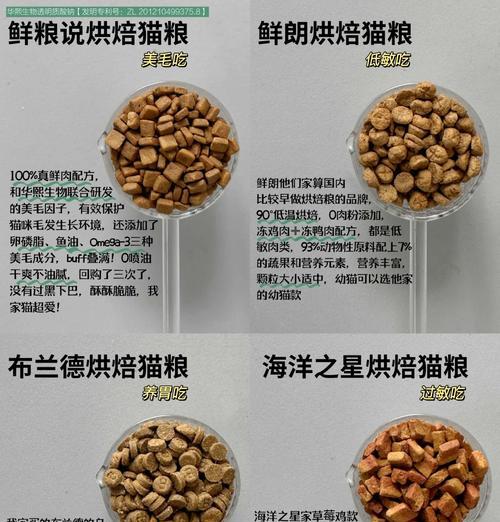 如何用猫粮预防猫咪黑下巴？正确的喂食方法是什么？