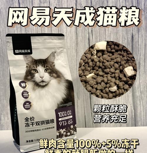 蓝猫适合吃什么牌子的猫粮？如何选择适合蓝猫的猫粮？
