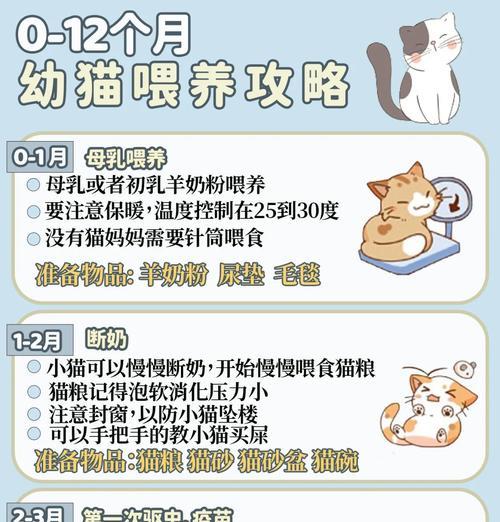 奶猫不进食猫粮的喂养方法是什么？如何解决？