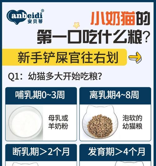 奶猫不进食猫粮的喂养方法是什么？如何解决？