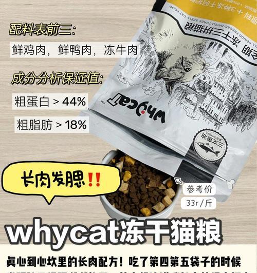 冻肉作为猫粮配料怎样烹饪才美味？