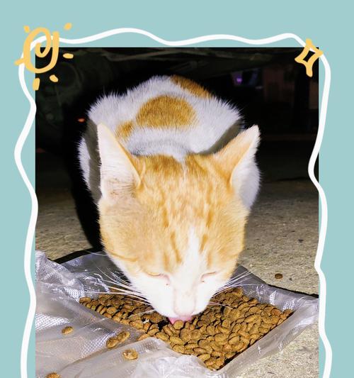 橘猫吃猫粮粘嘴是正常现象吗？