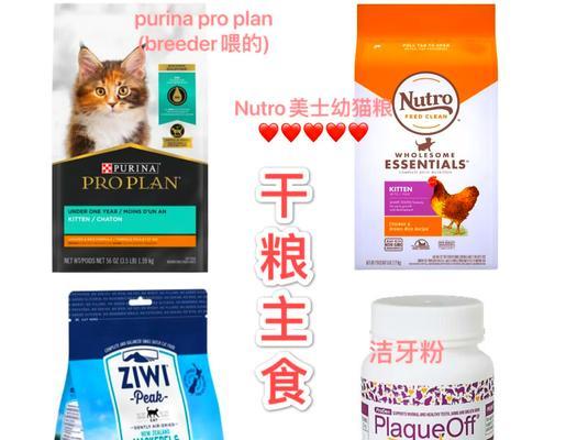 幼猫换粮时应该吃什么？