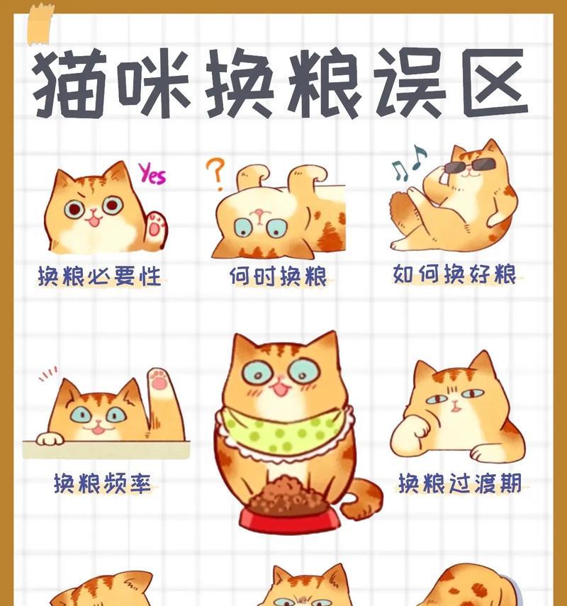 猫咪换猫粮好吗？换猫粮需要注意什么？