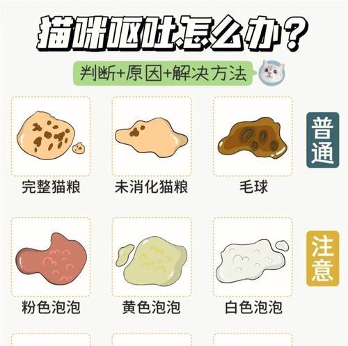 吐猫粮会死吗为什么？猫咪呕吐猫粮的常见原因及处理方法是什么？