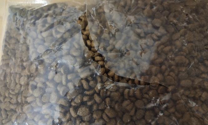 猫吃猫粮把猫粮咬碎了会怎么样？对猫健康的影响？