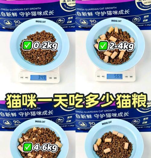 幼苗猫粮应该吃多久？正确的喂养方法是什么？